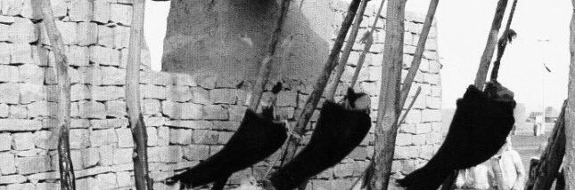 8wek22's profile banner image