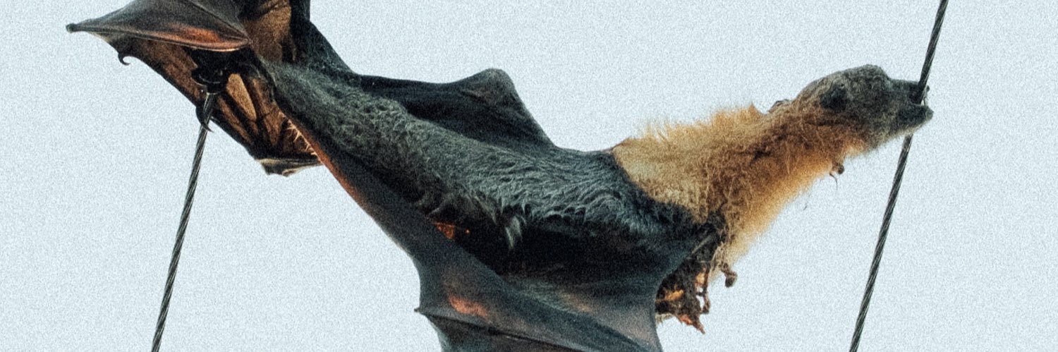 mernda line daycare virus banner