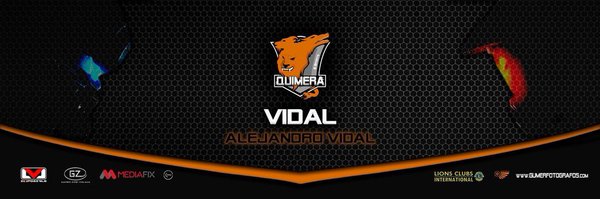 Vidal Profile Banner