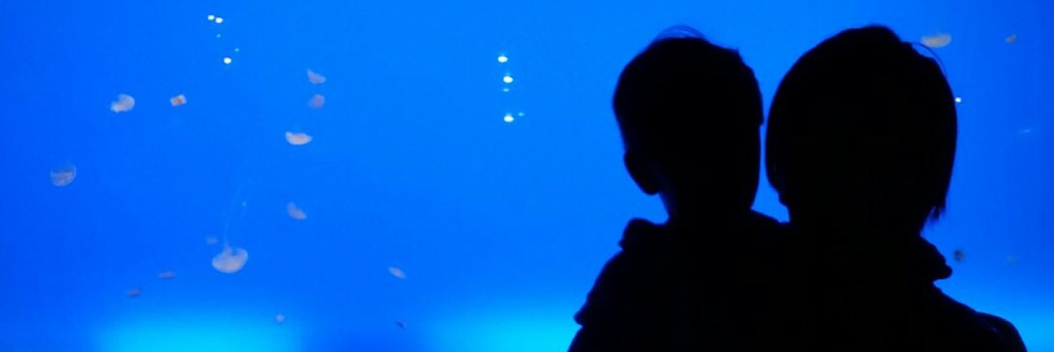 marceheredia's profile banner image