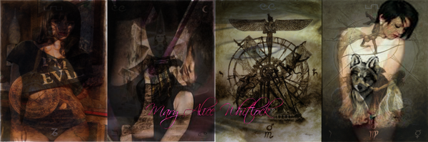 SensuousBloom Profile Banner