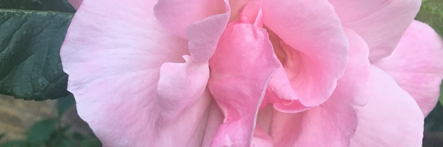 HopsonMarsh's profile banner image