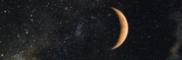 Laxtitia's profile banner image
