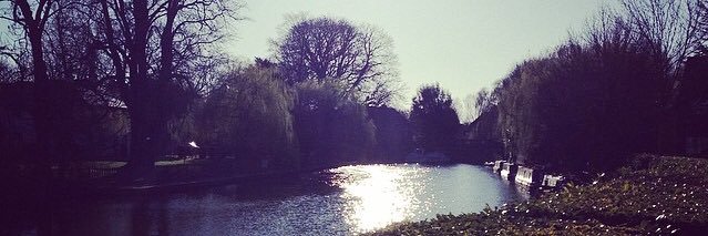 JDMalin's profile banner image