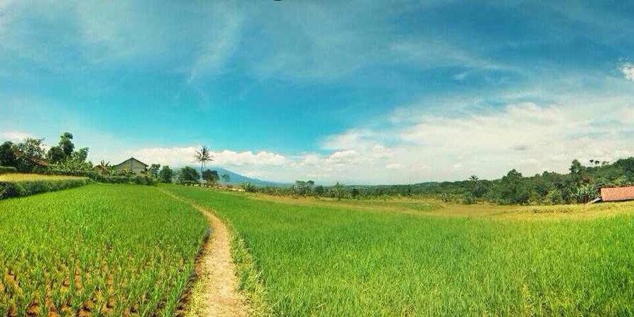 ARSYAD FAUZAN banner