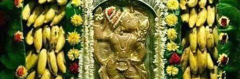 Nami_Gopal's profile banner image