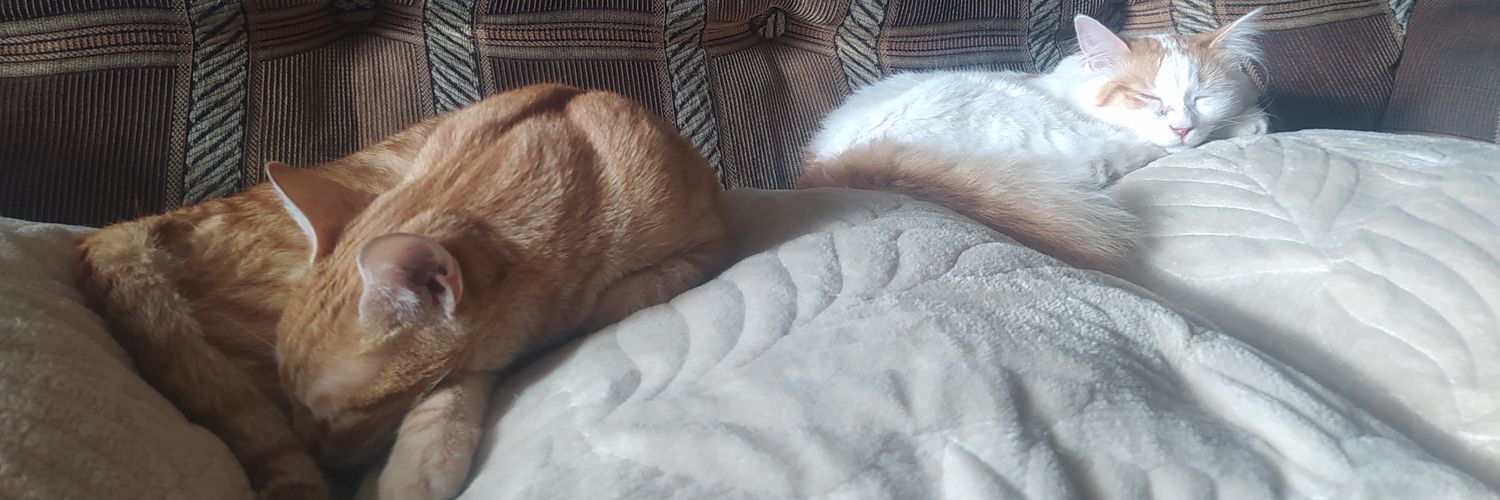 Carnage⭕️ banner