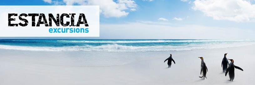 FalklandTours's profile banner image