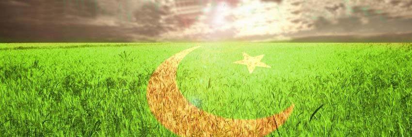 PakMCQs's profile banner image