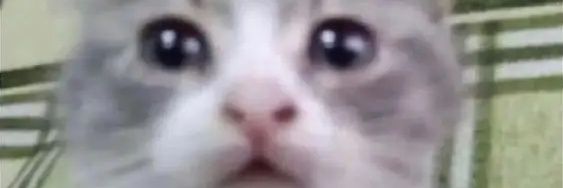 RandomRepeater's profile banner image