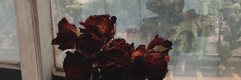 vindanirmala's profile banner image