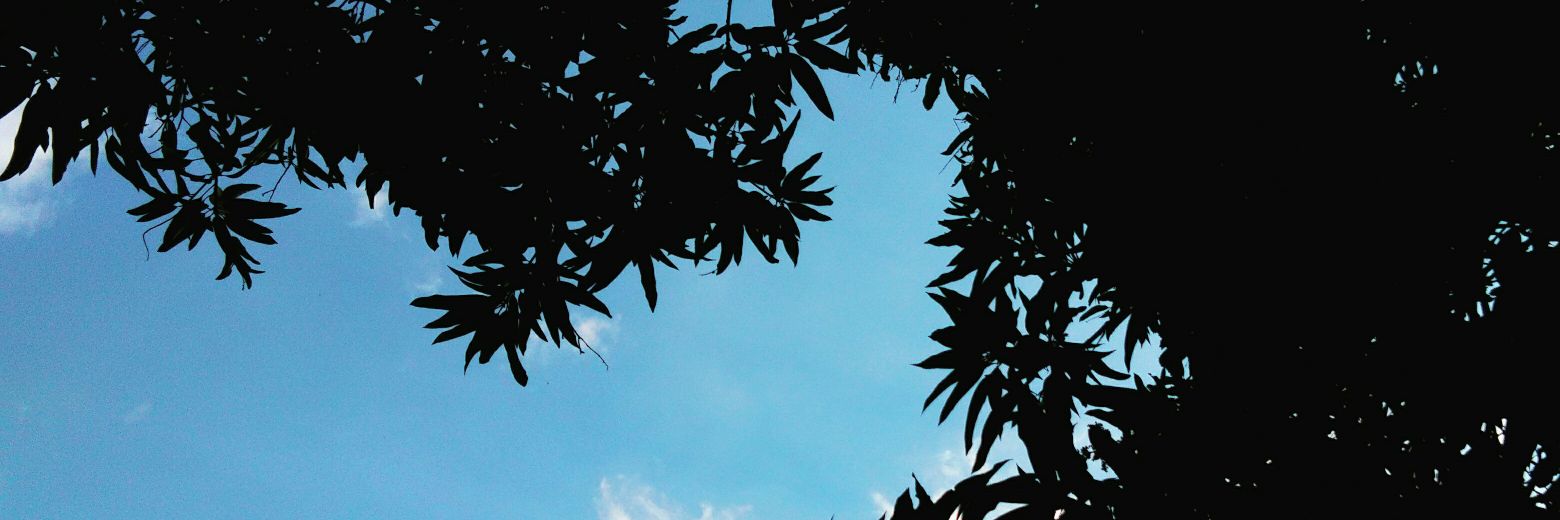 millanorowel's profile banner image