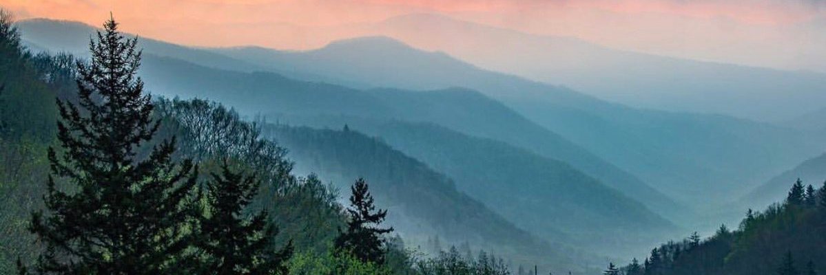 realJammur's profile banner image
