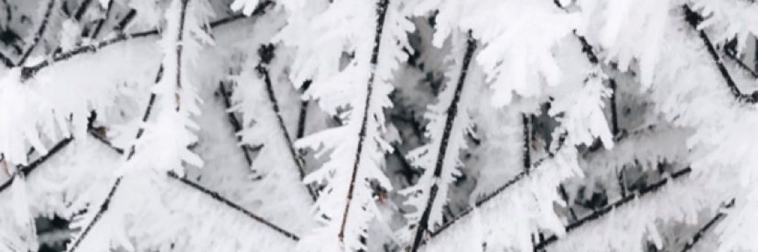 syadagisdool's profile banner image