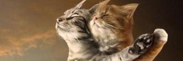FilmsterKat's profile banner image