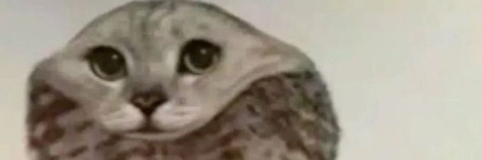 右顔面ピクピクｻﾞｳﾙｽ banner