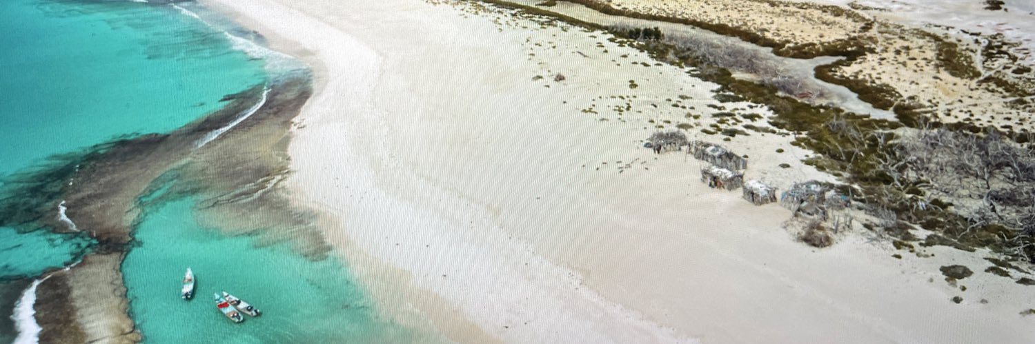 david pilling banner