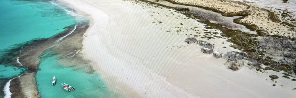 davidpilling Profile Banner