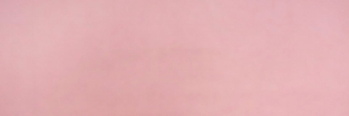 SPIN. banner