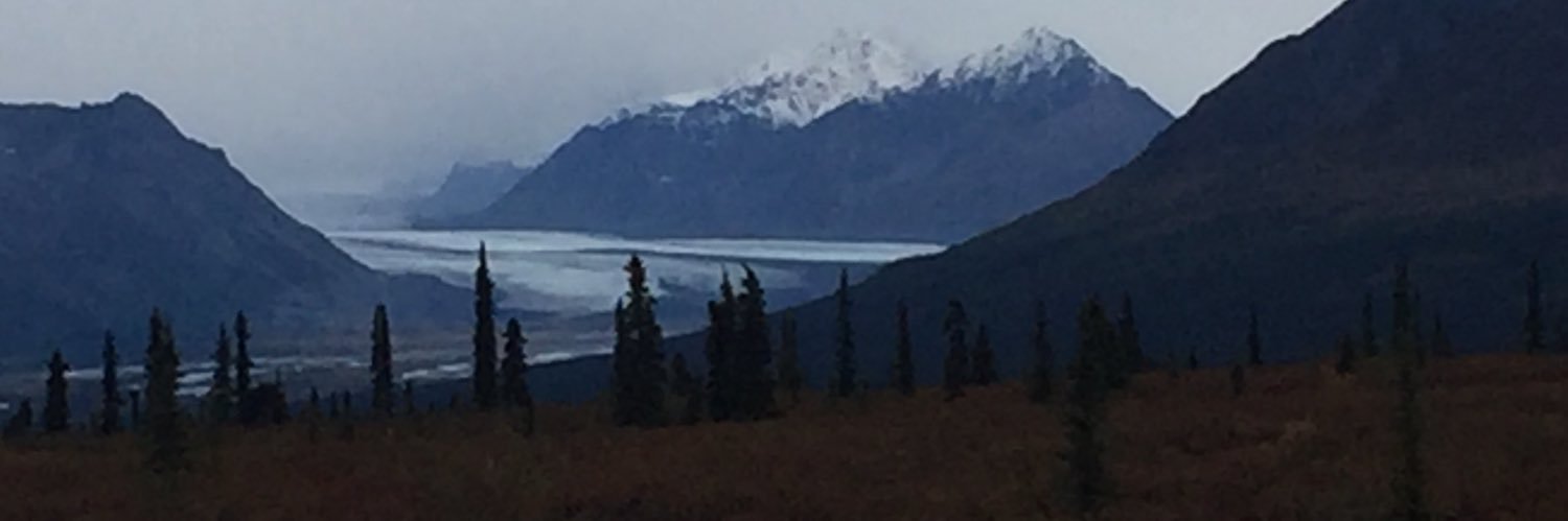 Virginia levenback banner