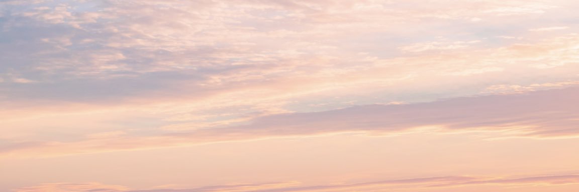 さいね banner