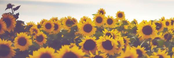 simplyjess24's profile banner image