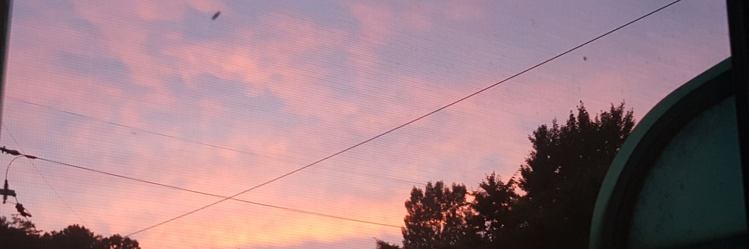 dnjs115981's profile banner image