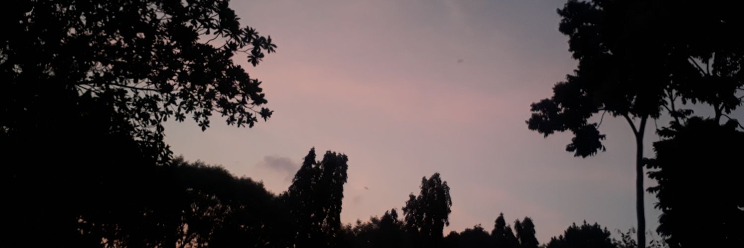 Debbyans's profile banner image
