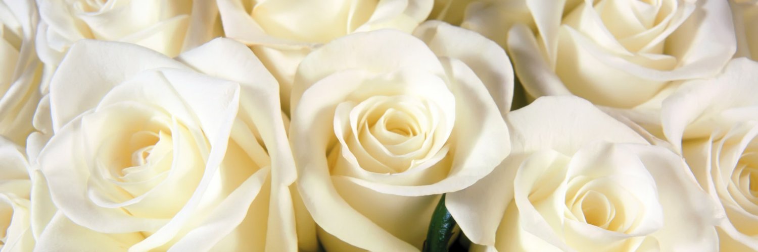 sarabee72's profile banner image