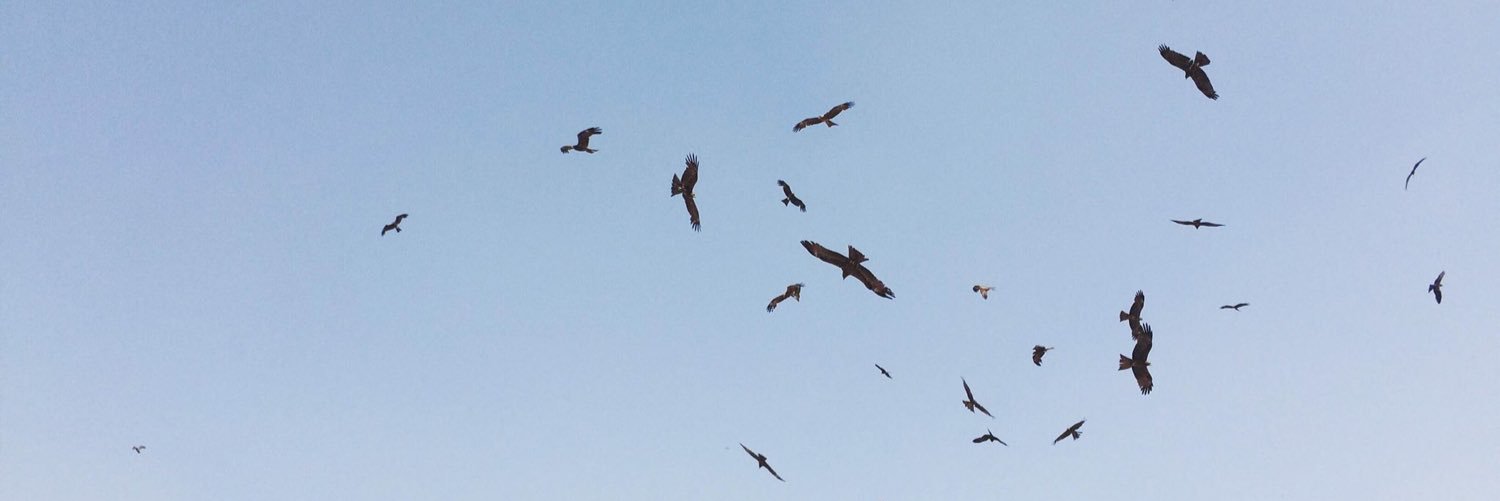 SkywaysAH's profile banner image
