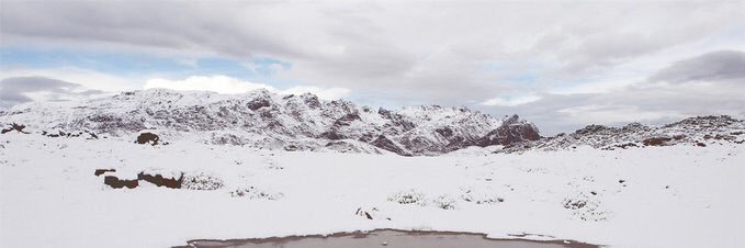 سعودي والهوا شمالي banner