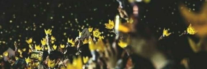 Ginantiph's profile banner image