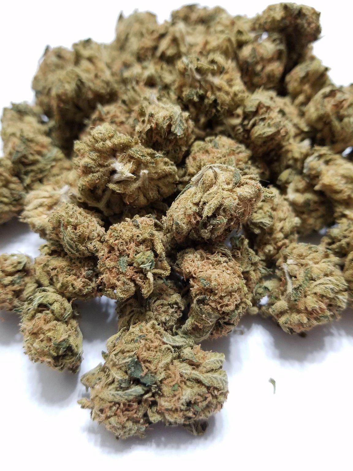 theweedmanpics's profile banner image