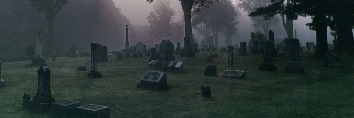 tuftypanda57's profile banner image