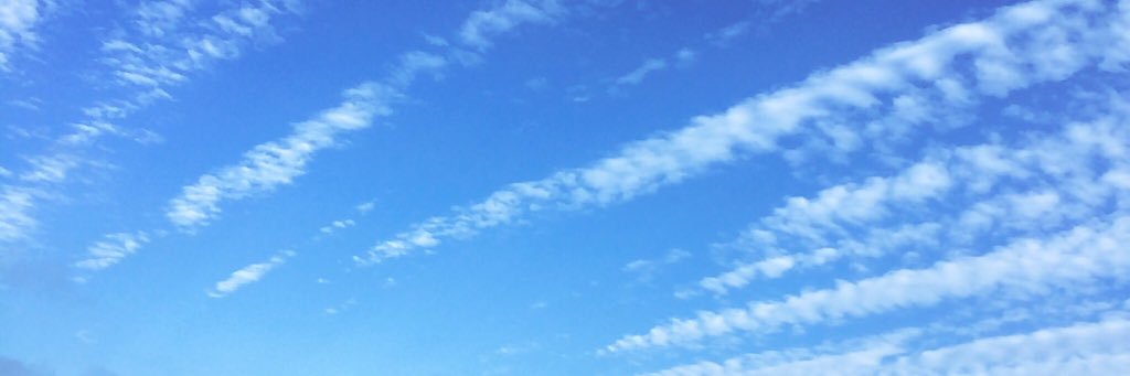 _____tmn13's profile banner image