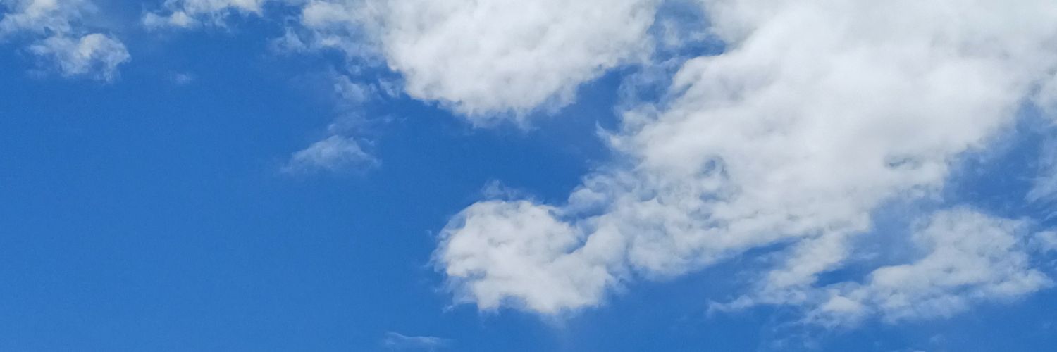 lilfayt's profile banner image