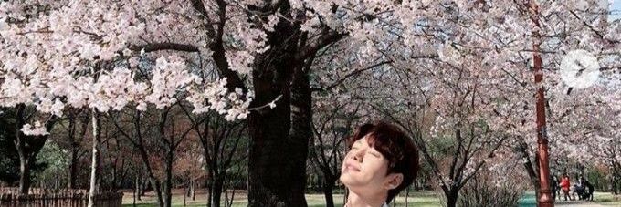 infntot7's profile banner image