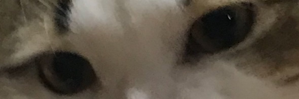 ぱっく banner