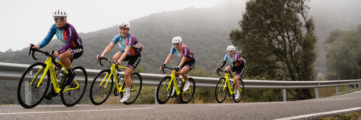 Emilie Moberg banner