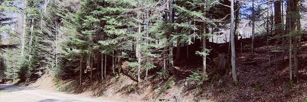 Kowal5555's profile banner image