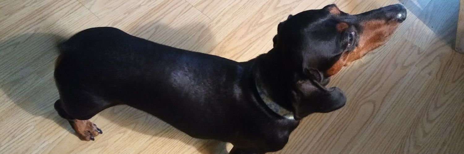 LongDog321's profile banner image