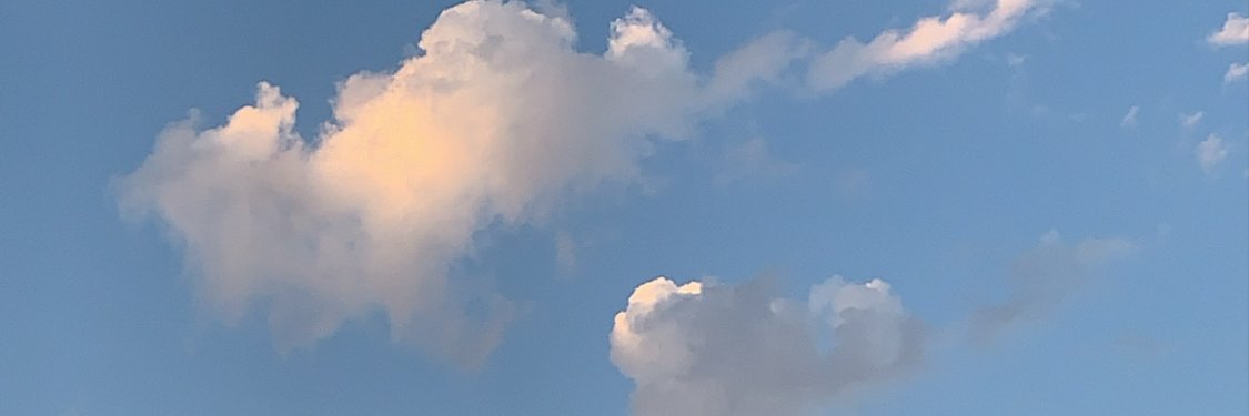 jackihahbloom's profile banner image