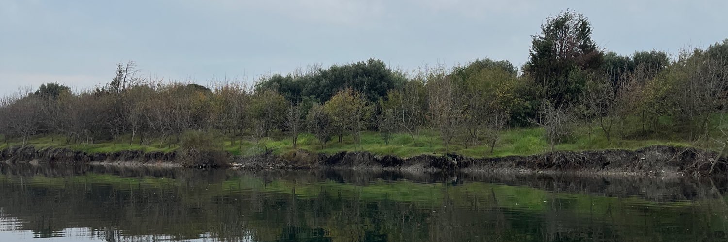 Özgür banner