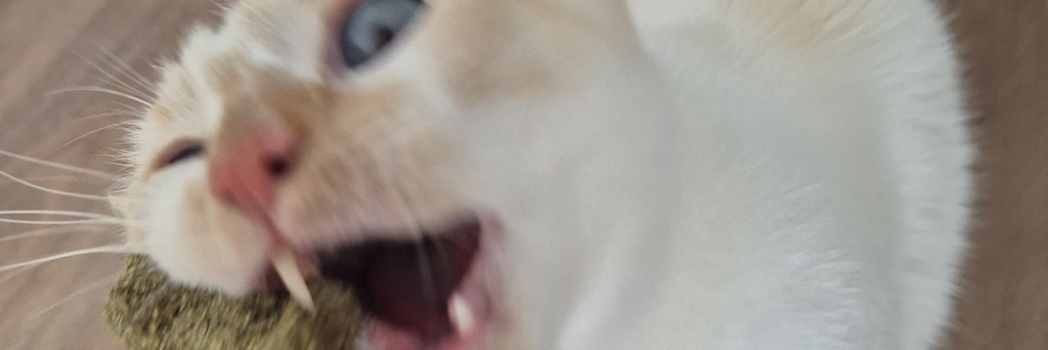 stbflr's profile banner image