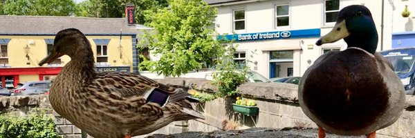 docsiobhan Profile Banner