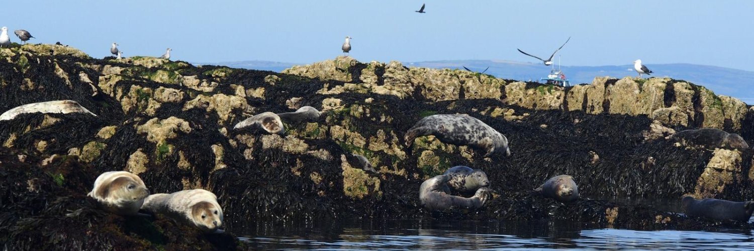 Steve 🇬🇧🩵 banner