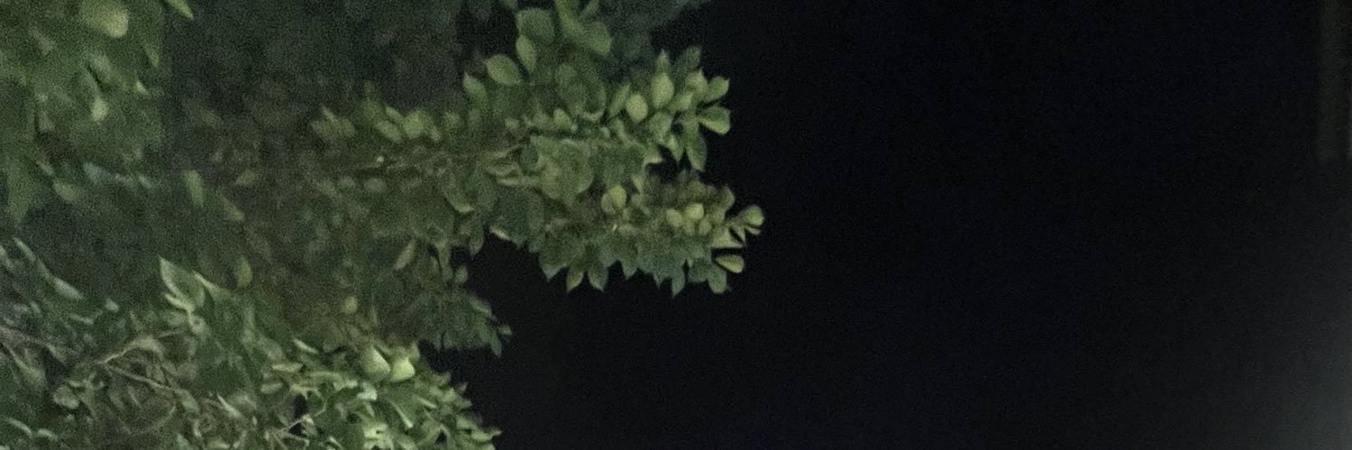 firadyhs's profile banner image