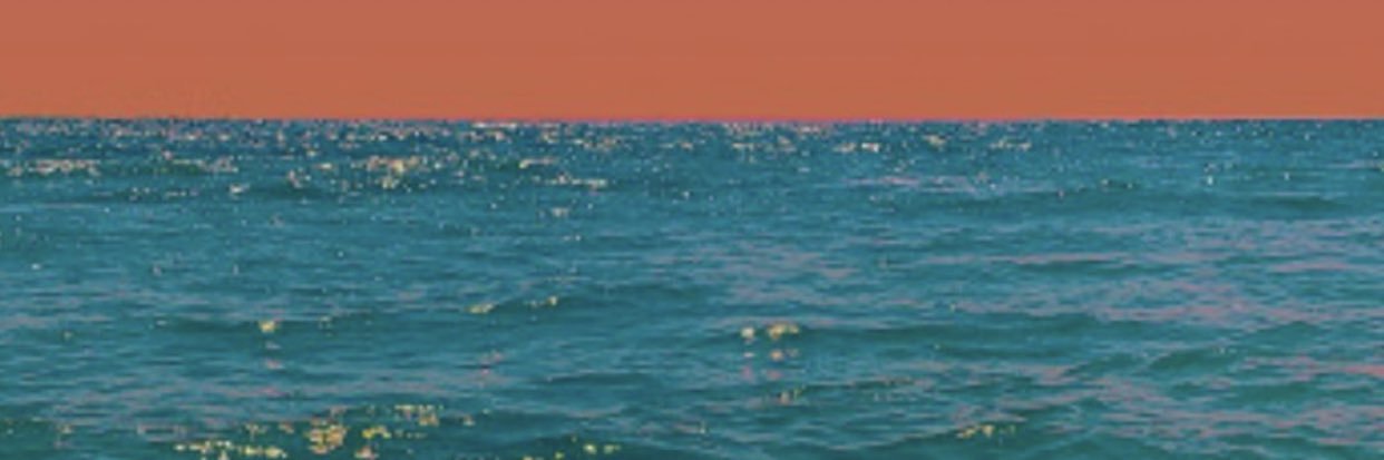 lion_georgia's profile banner image