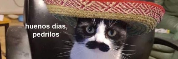 hmm_pff Profile Banner