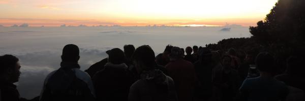 anwarholic Profile Banner